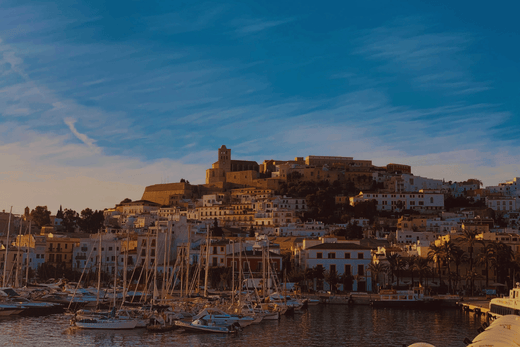 A Guide to Group Outings in Ibiza: Celebrate on the Water