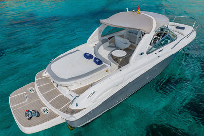 SEA RAY 295 | "Infinity"