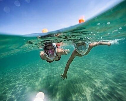 DREAMBEACH 20 | "No License"