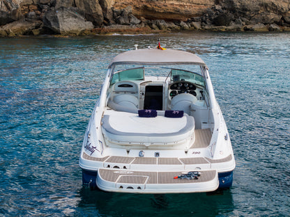 SEA RAY 295 | "Infinity"