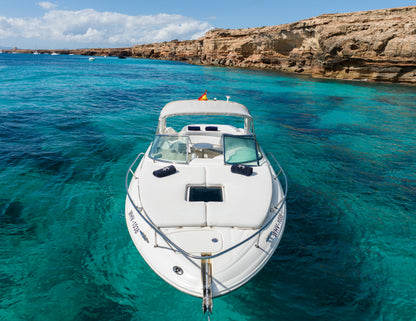 SEA RAY 295 | "Infinity"