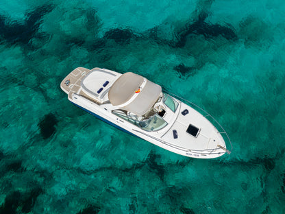 SEA RAY 295 | "Infinity"