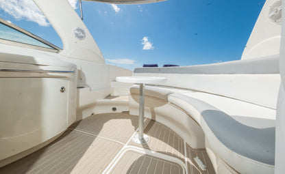 SEA RAY 295 | "Infinity"