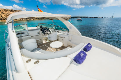 SEA RAY 295 | "Infinity"