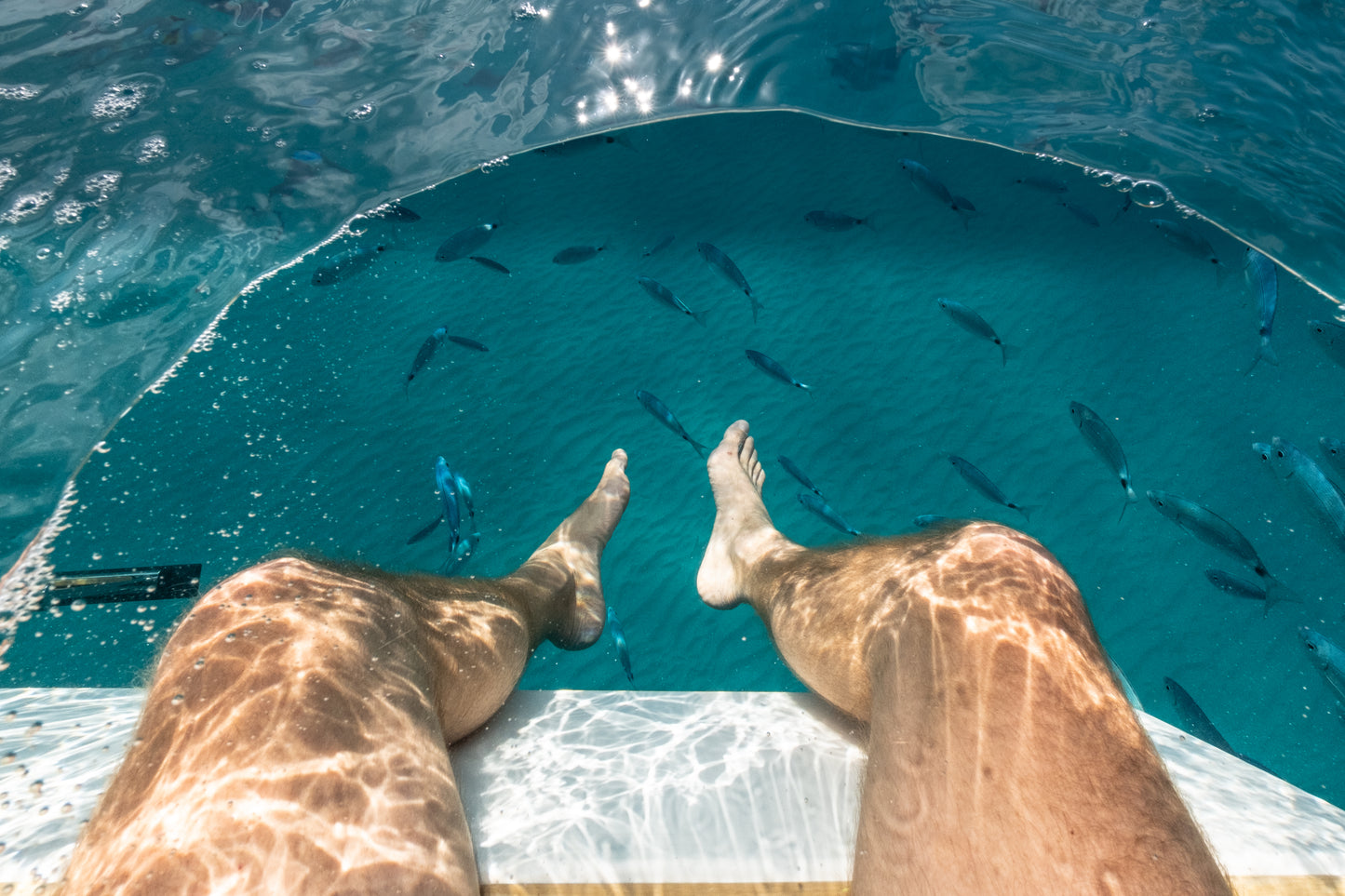 DE ANTONIO D42 | "PlayYacht III"