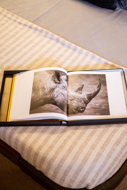 BAIA ITALIA 70 | "Chilli"