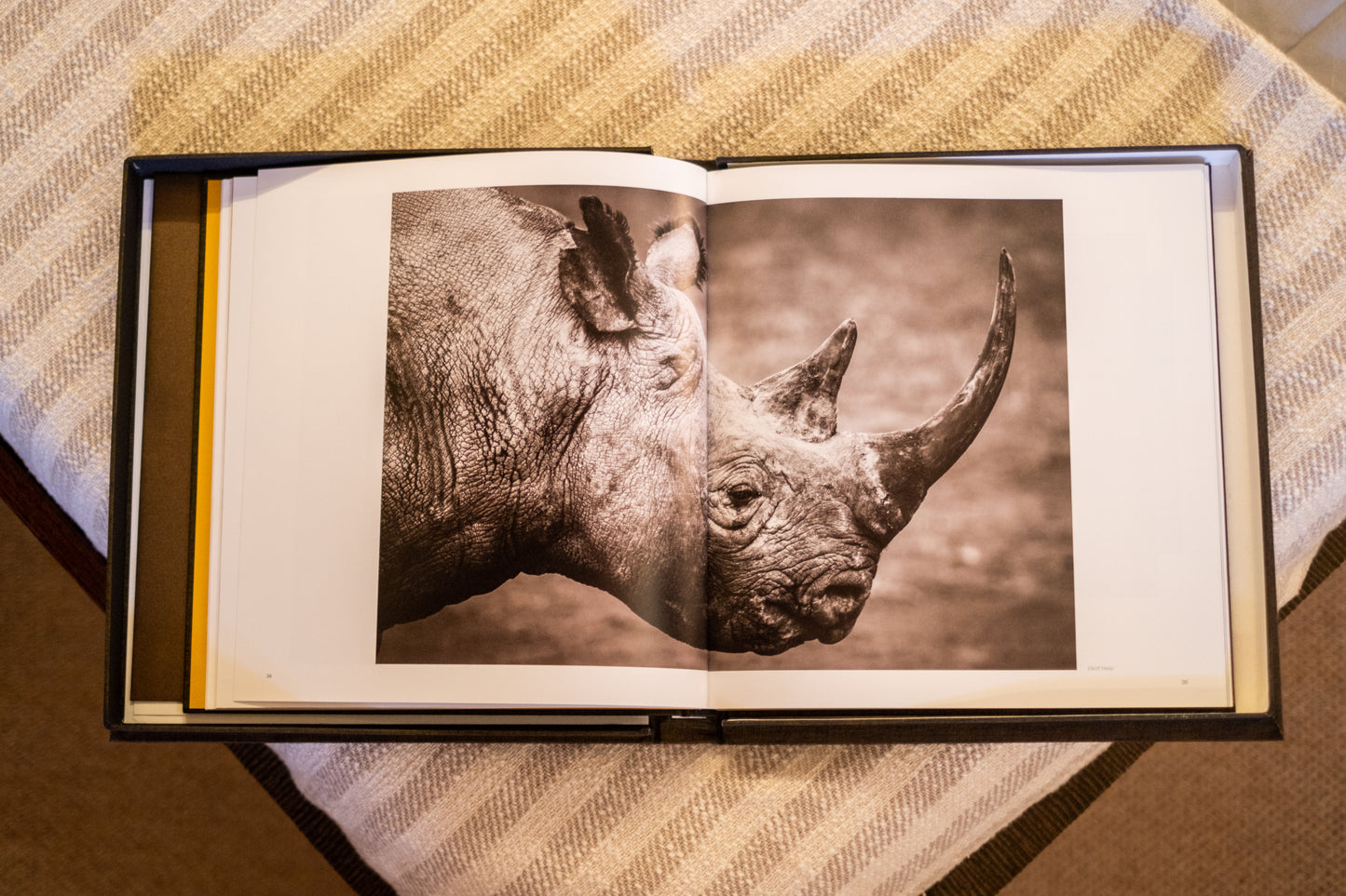 BAIA ITALIA 70 | "Chilli"