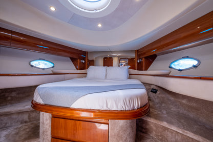 PRINCESS V65 | "Freedom"