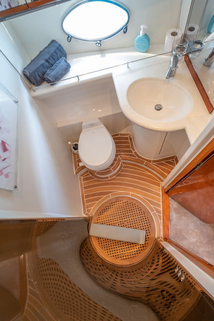 PRINCESS V65 | "Freedom"