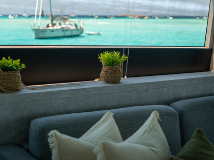 LEOPARD 102 | "La Romana"