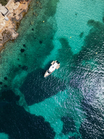 SAXDOR 320 GTO | "Iris Blue"