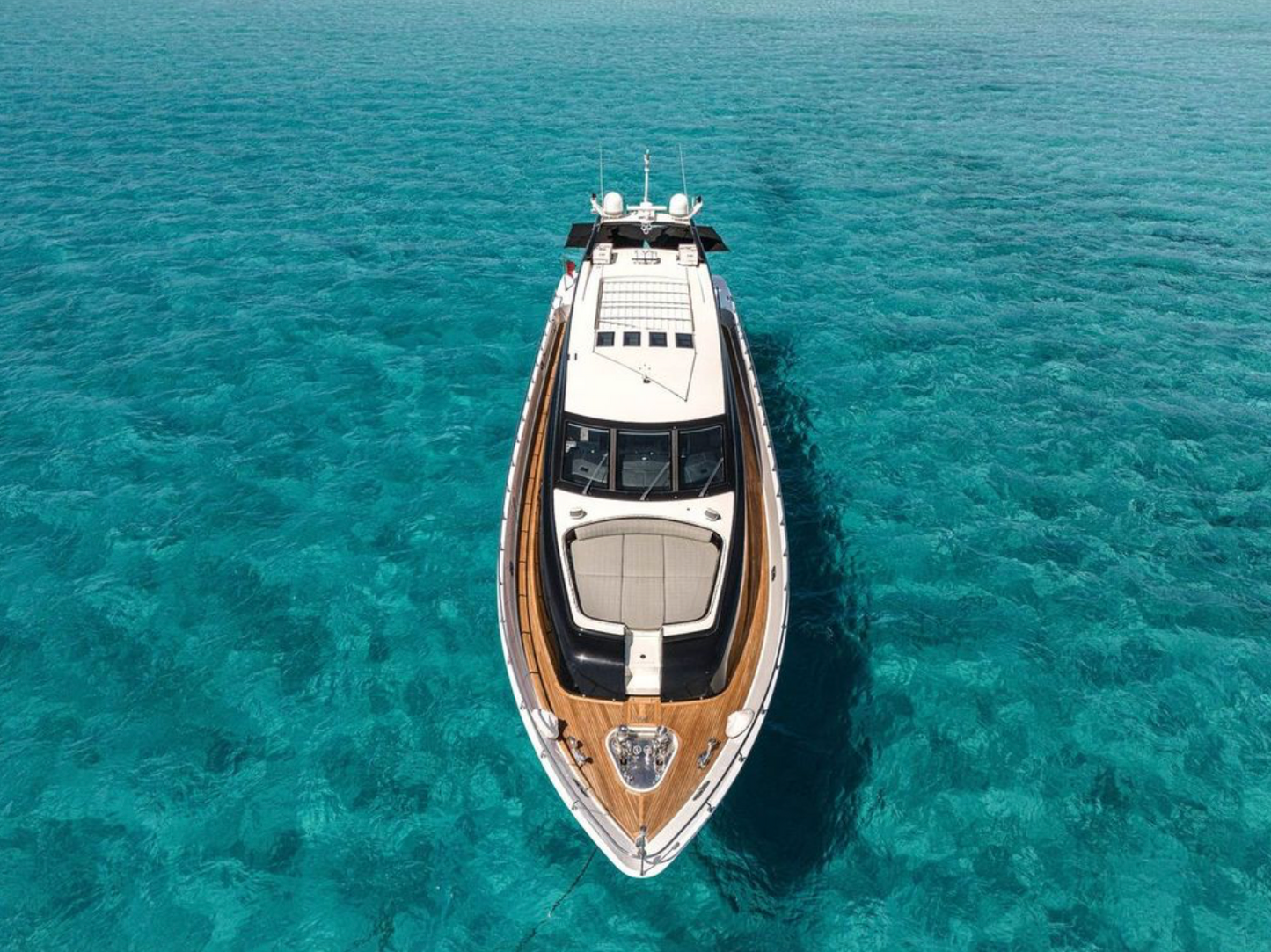 LEOPARD 102 | "La Romana"