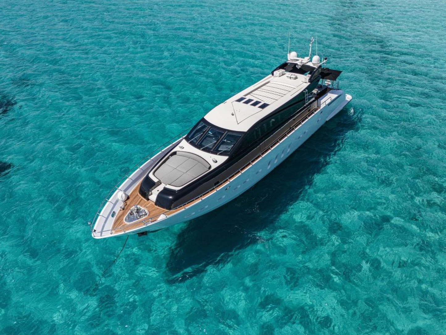 LEOPARD 102 | "La Romana"