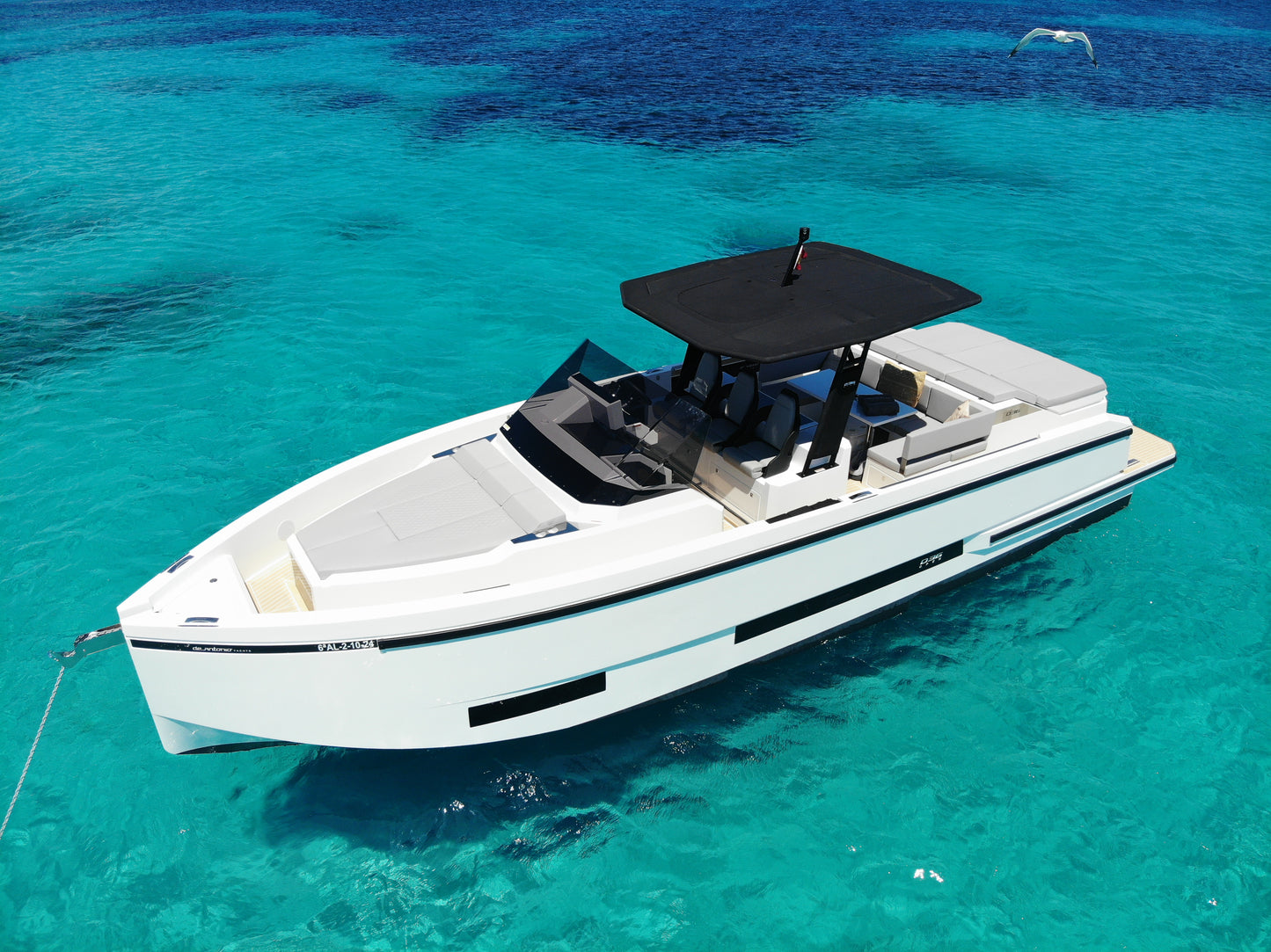 DE ANTONIO D36 | "Pippa y Cookie"