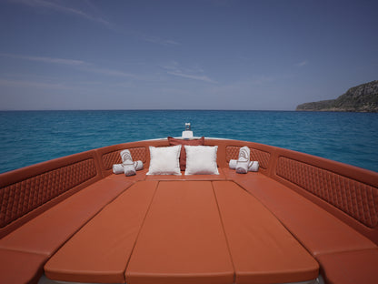 FRAUSCHER 40 | "Viena"